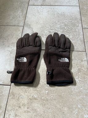 The north face gloves